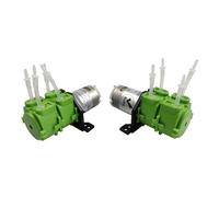 Pompa Dosatrice, Pompa peristaltica pompa dosatrice a doppio canale for acqua silenziosa piccola autoadescante a(With 2x4,12V)