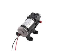 Pompa elettrica 100W autoadescante booster tipo riflusso Micro pompa a membrana for irrigazione pesticidi DC 12V 24V(24V A)