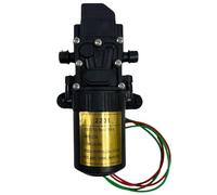 Pompa elettrica 12 V per spruzzatore con portata 3,6 L/min nero
