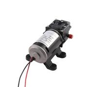 Pompa elettrica ad alta pressione Tipo di riflusso booster autoadescante da 100 W Pompa a membrana micro for irrigazione di pesticidi 12V 24V(24V C)