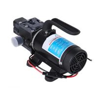Pompa elettrica agricola Acqua 12V 24V 120W Membrana ad alta pressione Autoadescante Spruzzatore d'acqua for irrigazione Autolavaggio(24V 120W)