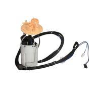 Pompa elettrica del carburante DELPHI FG2025-12B1