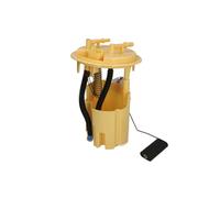 DELPHI FL0292-12B1 Imp. alimentazione carburante per CITROËN