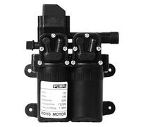 Pompa Elettrica Doppia For Acqua DC 12V 100W 160PSI 7,5L/Min Con Diaframma E Interruttore Di Flusso Automatico, Spruzzatore For Acqua Ad Alta Pressione For Uso Agricolo