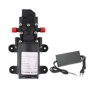 Pompa elettrica for acqua agricola DC 12V 60W 5L/min for a micro membrana nera Spruzzatore for Autolavaggio(C with adaptor)