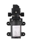 Pompa elettrica for acqua agricola DC 12V 60W 5L/min for a micro membrana nera Spruzzatore for Autolavaggio(Only B pump)