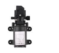 Pompa elettrica for acqua agricola DC 12V 60W 5L/min for a micro membrana nera Spruzzatore for Autolavaggio(Only D pump)