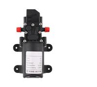 Pompa elettrica for acqua agricola DC 12V 60W 5L/min for a micro membrana nera Spruzzatore for Autolavaggio(Only C pump)