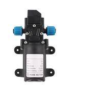 Pompa elettrica for acqua agricola DC 12V 60W 5L/min for a micro membrana nera Spruzzatore for Autolavaggio(Only A pump)
