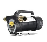 Pompa elettrica for pozzi petroliferi da 12 V, 24 V, 220 V, piccola unità di pompaggio positiva e negativa, pompa autoadescante(220V,Positive reverse)