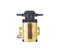 Pompa elettrica portatile benzina pompa autoadescante serbatoio | carburante per auto cavo di alimentazione 2m tubo 4m 12V 24V(Golden 24V,One oil pump)