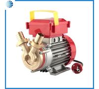 Elettropompa da travaso Rover 25 CE - motore 0,8 hp monofase - pompa elettrica