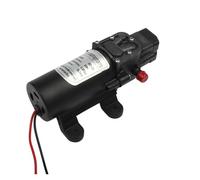 Pompa for acqua a membrana microelettrica da 60 W, DC 12 V, interruttore automatico, 5 l/min, pompa for lavaggio auto, 0,8 MPa(B and adaptor 1)