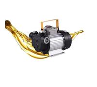 Pompa for olio ad alta potenza da 550 W, pompa a ingranaggi con spina da 220 V, pompa diesel, pompa idraulica, pompa a ingranaggi, pompa for olio autoadescante(G30)