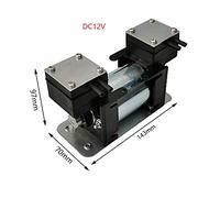 Pompa for vuoto ad alta pressione negativa positiva Grande strumento di bellezza Pompa a membrana a doppia testa muta Micro pompa ad aria Strumento fai da te(DC12V)