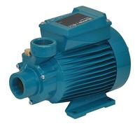 Pompa girante Periferica CT60m 0,33kW 0,45Hp Monofase 230V 50Hz CALPEDA CTM