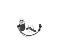 Pompa Haldex Posteriore Differenziale Per VW Generazione 2 02W598549A PN 118622