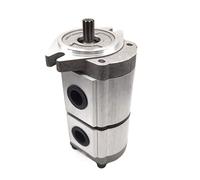 Pompa idraulica a doppio ingranaggio, sostituire SNP2/19S SC46BAW/9L, diametro albero scanalato 15 mm 9 denti