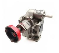 Pompa idraulica a ingranaggi Pompa idraulica Pompa a ingranaggi in acciaio inossidabile 304 Pompa dell'olio KCB-200