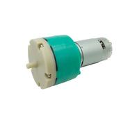 Pompa idraulica a ingranaggi Pompa per vuoto R555 12V 24V Mini pompa ad aria elettrica Attrezzatura per fitness Strumento di bellezza Pompa per vuoto(24V)