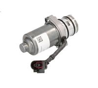 Pompa idraulica BORG WARNER 119863 per VOLVO S80 II (124) 3 2007-2010