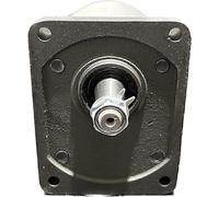 Pompa idraulica gruppo 2-8 cc Sx di Ama