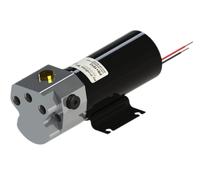 Pompa idraulica pilota automatico Raymarine S1 S2 S3 S3G EV150 EV200 TYPE 1 1...