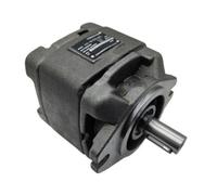 Pompa Idraulica Servo Olio Alta Pressione HG0 HG1-08 10 13 16 20-01R-VPC | Pompa idraulica servo elettrica a ingranaggi a cilindrata positiva flusso costante alta pressione(Hg0-10-01r-vpc)