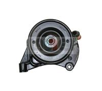 Pompa idraulica, sterzo LAUBER 55.0715