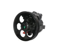 Pompa idraulica, sterzo LAUBER 55.0748