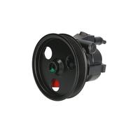 LAUBER 55.1228 Pompa idraulica, sterzo