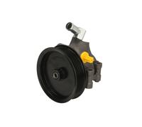 LAUBER 55.1243 Pompa idraulica, sterzo