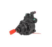 Pompa servosterzo idraulico 55.1791 LAUBER per BMW X3