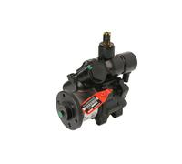 Pompa idraulica, sterzo LAUBER 55.1795