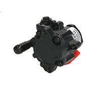 Pompa idraulica, sterzo LAUBER 55.5234 per AUDI A3 (8L1) 1.8 1996-2003
