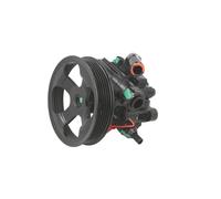 Pompa servosterzo idraulico con puleggia cinghia Poly-V 55.5348 LAUBER