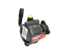 Pompa idraulica, sterzo LAUBER 55.6019 per ALFA ROMEO GT (937_) 1.9 2003-201