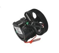 Pompa idraulica, sterzo LAUBER 55.6113 per PEUGEOT BIPPER (AA_) 1.4 2008-