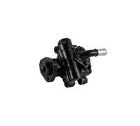 Pompa idraulica, sterzo LAUBER 55.9694