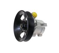 Pompa idraulica, sterzo LAUBER 55.9902