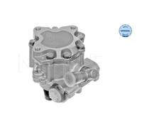 Pompa servosterzo idraulico 114 631 0007 MEYLE per AUDI VW SKODA