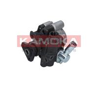 Pompa idraulica, Sterzo per DACIA NISSAN RENAULT CLIO KANGOO KUBISTAR LOGAN SAND