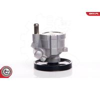 Pompa idraulica, Sterzo per DACIA RENAULT CLIO KANGOO LOGAN LOGAN MCV MEGANE SAN