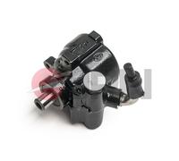 Pompa idraulica, Sterzo per DACIA RENAULT CLIO KANGOO LOGAN SANDERO THALIA