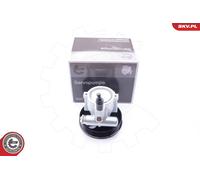 Pompa idraulica, Sterzo per RENAULT CLIO KANGOO LAGUNA MEGANE