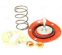 Carburante Sollevamento Kit Riparazione Pompa Per Alcuni David Brown 1200 1210