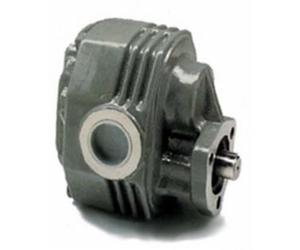 Pompa Ingranaggi Ama 38,4cc Sinistra Ghisa Made in Italy