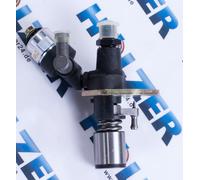Pompa Iniezione per Produttore Corrente Einhell Rt-Pg 5000DD