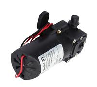 Pompa Irroratrice 12 Volt, Pompa Acqua Ad Alta Pressione Accessorio per Pompa Acqua Agricola a Membrana Elettrica a Doppio Tubo Dritto 36 W (DC12V)