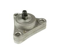 Pompa olio 101 ottani motore 139QMB/139QMA 16Z per REX RS 450 50